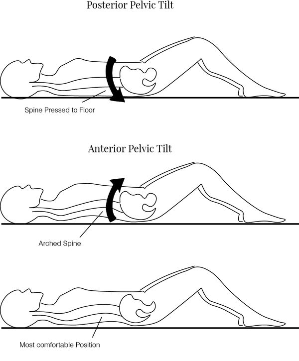 Anterior and posterior pelvic tilt illustration
